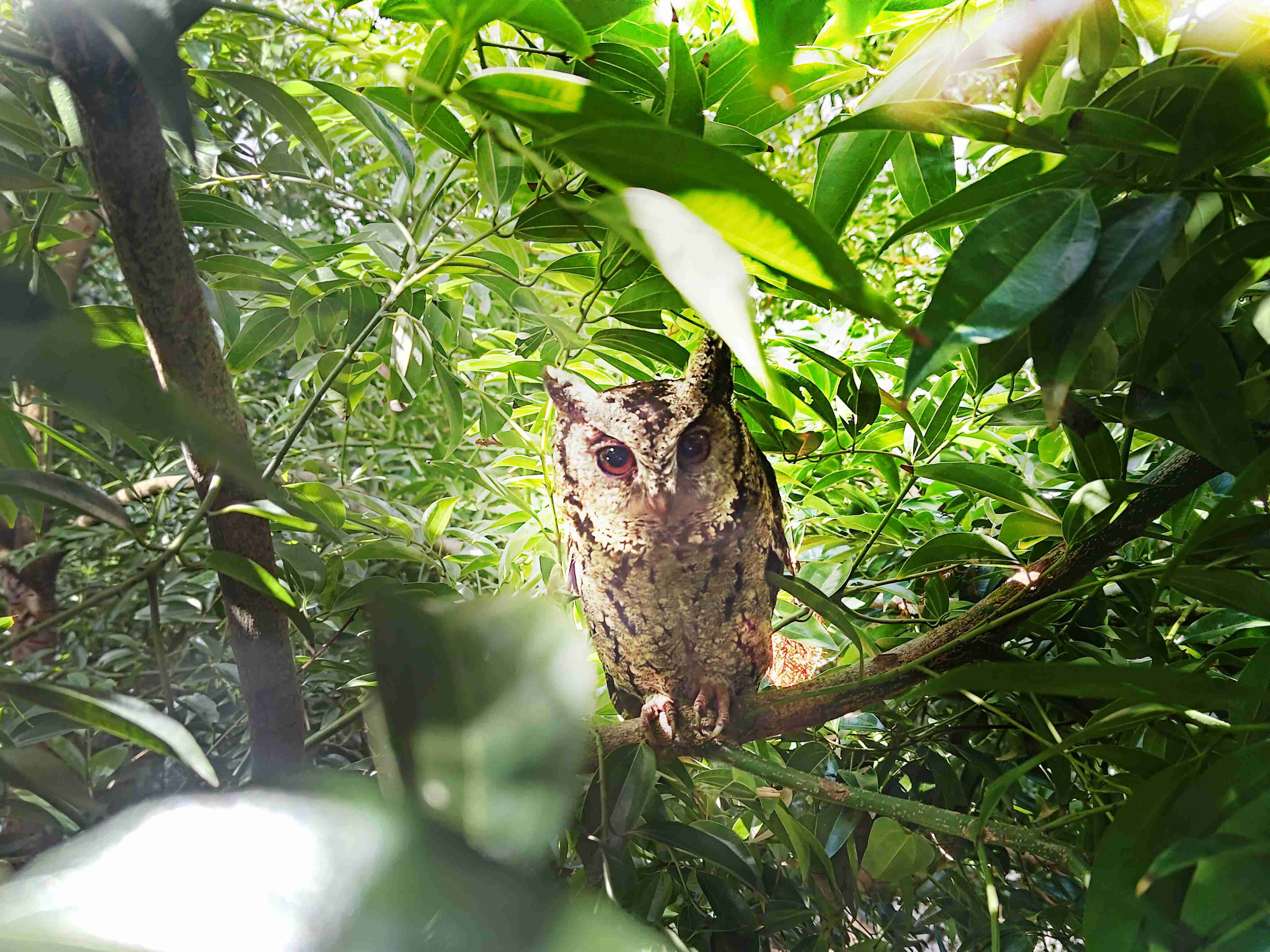 尊时凯龙致力提倡净零绿生活，，，，16年以来在全球各厂区植树逾百万棵，，，，造就各厂区树木蔚然成林，，犹如森林工厂，，成为许多生物的栖息地